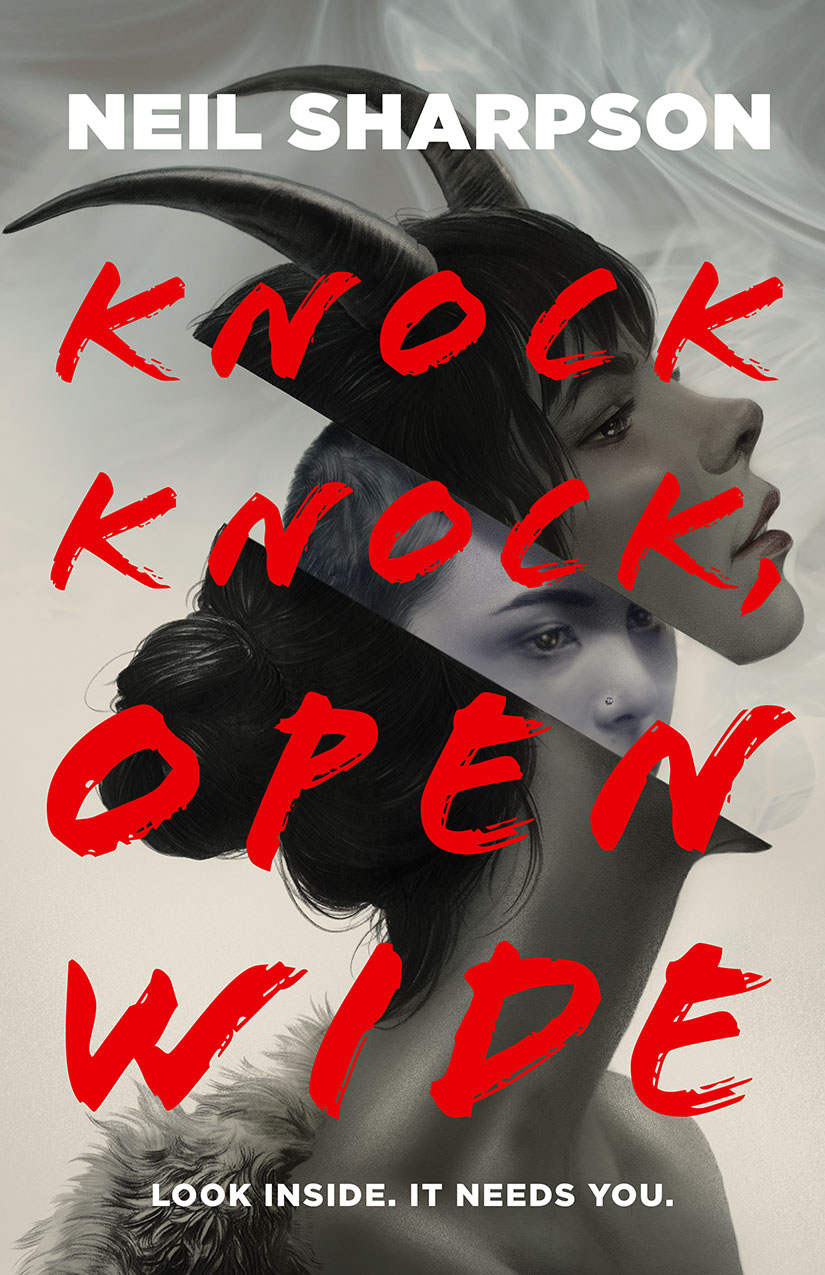 Knock Knock Open Wide book cover